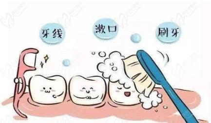 日常护理牙齿