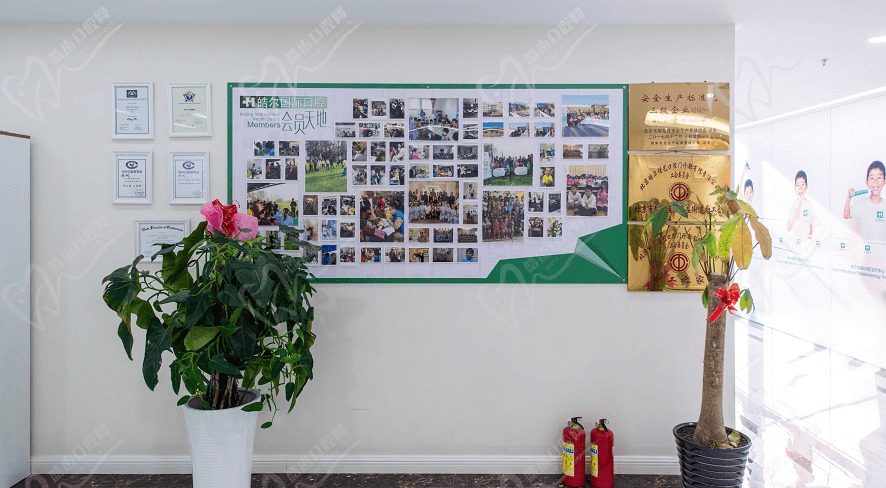 北京皓尔佳艺口腔荣誉墙