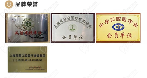上海茂菊口腔品牌荣誉 上海茂菊口腔品牌荣誉