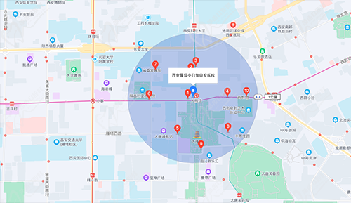 西安小白兔口腔位置