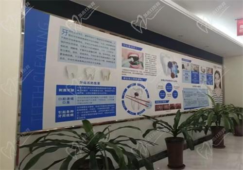 拜博医疗团队 拜博医疗团队