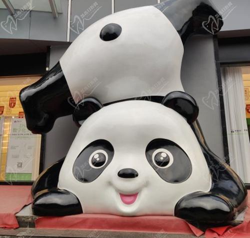 成都熊猫口腔医院门口熊猫雕像