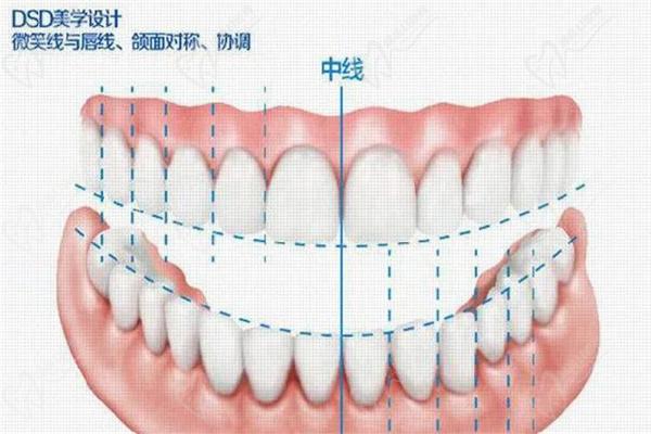 标准牙位牙列图片