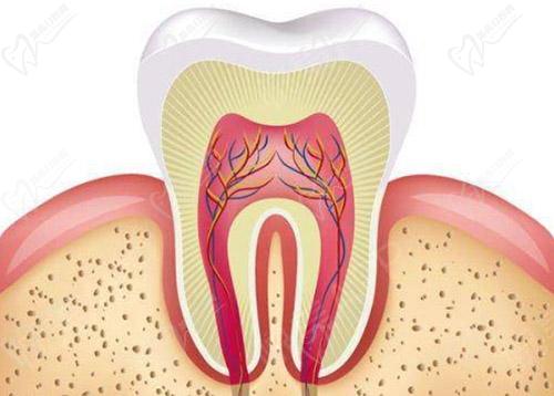乳牙蛀牙了需要做根管治疗吗