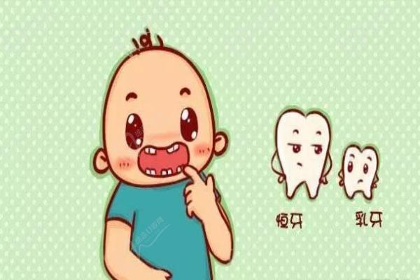 儿童乳牙与恒牙