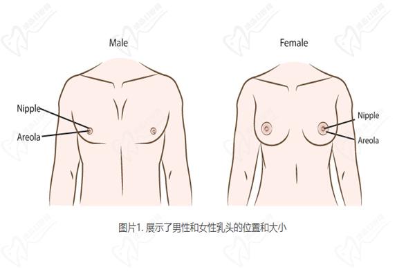 泰国咖蒙医生变性手术怎样