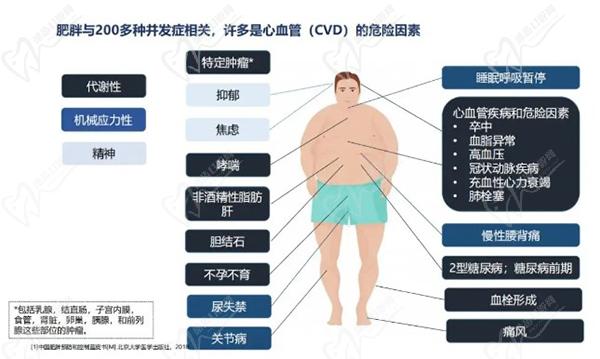 武汉五洲医院菲塑美减肥针多少钱