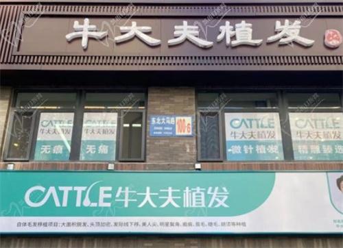沈阳牛大夫植发怎么样