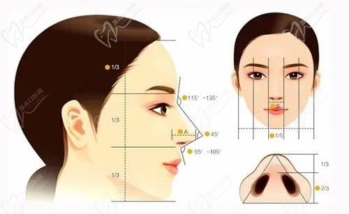 苏州美莱张亮做鼻子怎么样