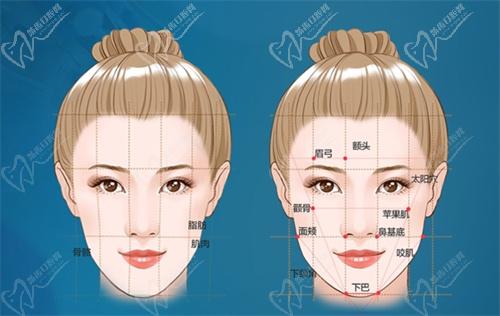 上海何晋龙北京何照华哪个好