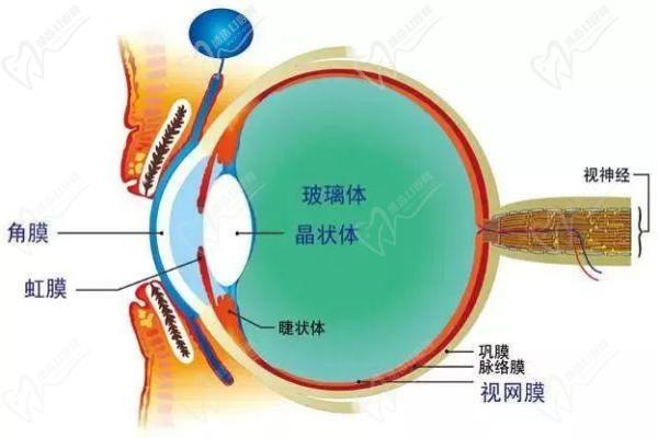 遵义恒爱眼科医院怎么样