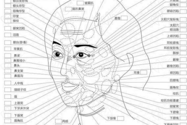 武汉美莱医疗美容玻尿酸怎么样