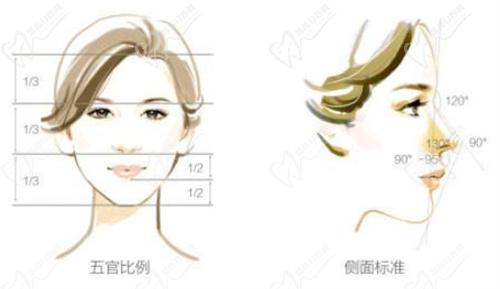 王志医生做鼻子多少钱？