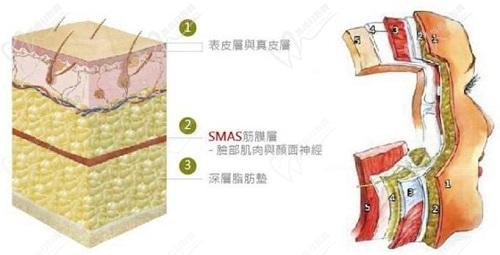 李晓东和杜太超拉皮风格对比