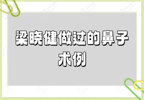 梁晓健做过的鼻子术例