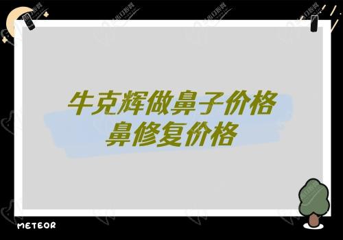 牛克辉做鼻子价格 鼻修复价格