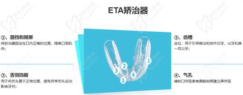ETA功能性矫治器