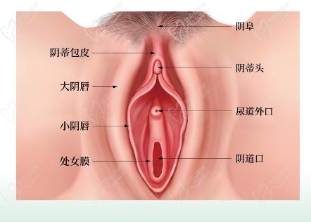 武汉真爱妇产医院私密整形做3D生物束带紧缩阴道手术技术好