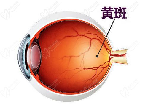 石家庄爱眼眼科医院收费怎么样