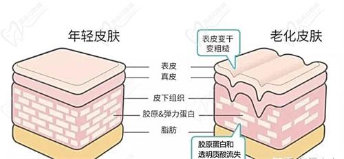 钟杰光医生修复馒化费用