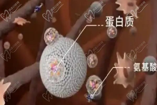 菲林普利型号区别