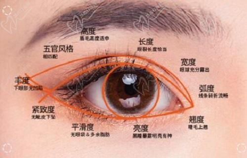 雷义波眼综合项目介绍