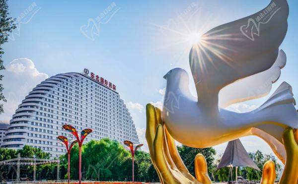 沈阳东北国 际医院口腔科 沈阳东北国 际医院口腔科