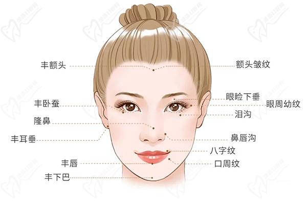 面部美容