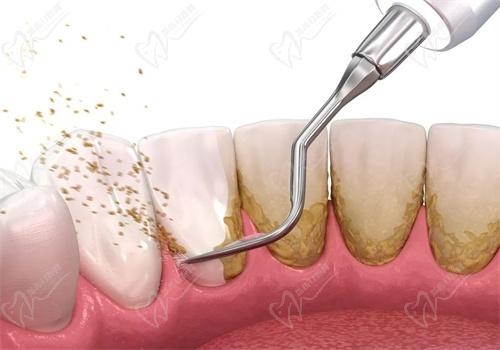 拉萨好牙医口腔医院地址电话