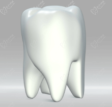 泰安镶牙多少钱？一键速查泰安种牙-全瓷牙-假牙的收费标准