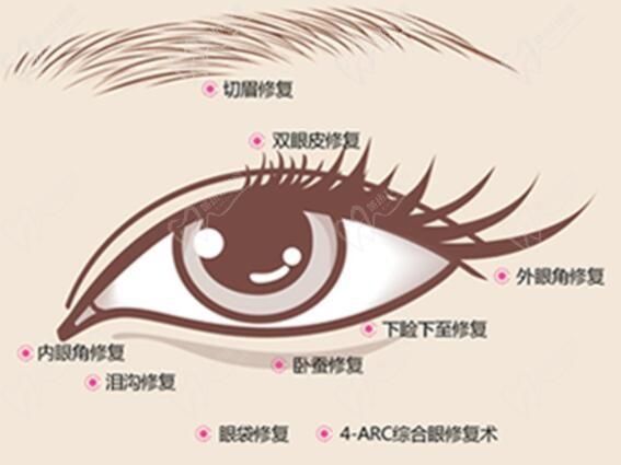 整形医生杜圆圆是上海爱尚丽格医院的，做双眼皮修复水平高收费5W+