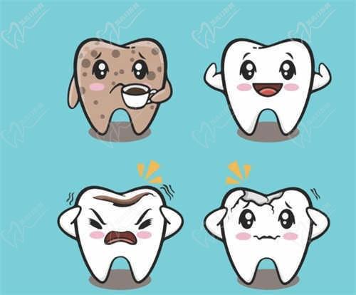 西安小白兔口腔医院最新价格表，种植牙/牙齿矫正/儿牙等收费都在这