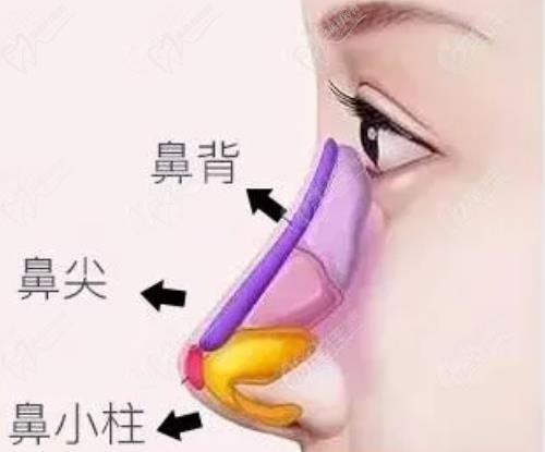 广州韩妃崔东做鼻子怎么样？20年经验打造精致小翘鼻,案例曝光真心动