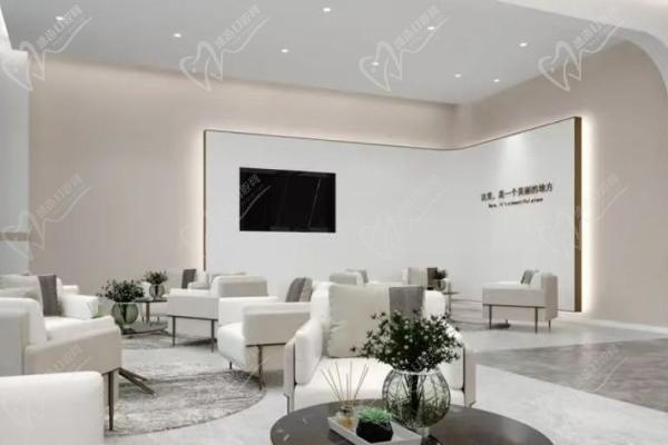 大连维恩柏颜医疗美容沙发