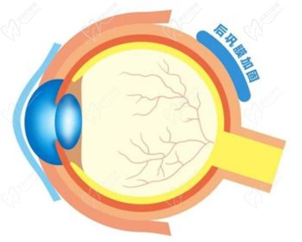 段安丽在私立医院出诊，选择北京熙仁眼科不排队3月22日周六有号可手术并且每月固定在熙仁出诊手术欲约从速