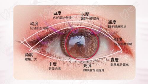 雷义波做双眼皮技术好是主打项目,全切+提肌+开眼角眼综合14500元起