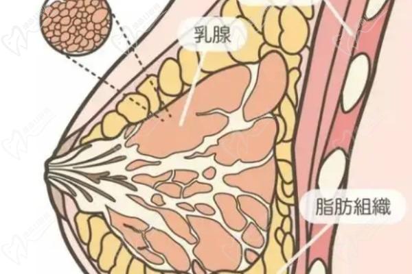 北京英煌项力源的口碑与评论与评价 - 脂肪丰胸名 医坐镇，30年经验打造自然胸型
